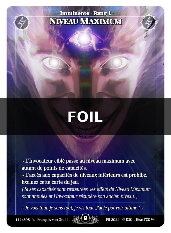 Niveau Maximum #111 Beta (FR) [RISE]