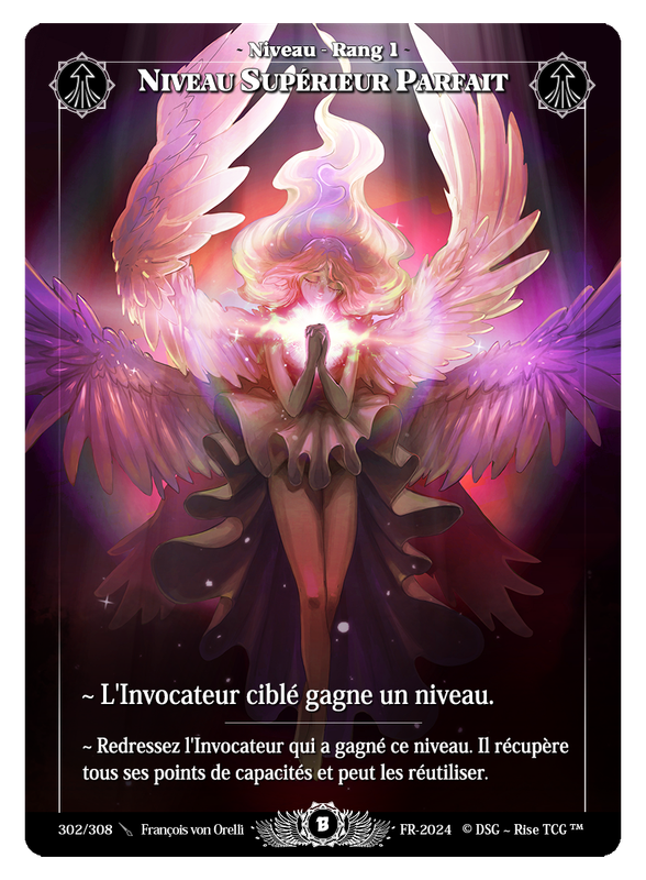Niveau Supérieur Parfait #302 Beta (FR) [RISE]