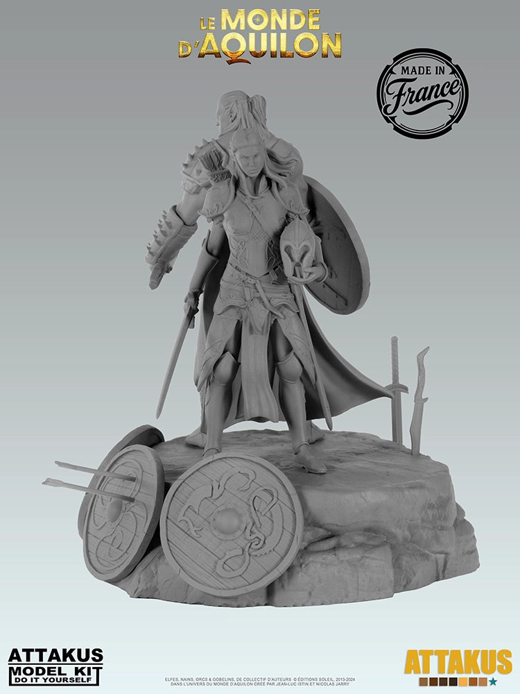 Diorama des boucliers à peindre - BD Elfes, Aquilon