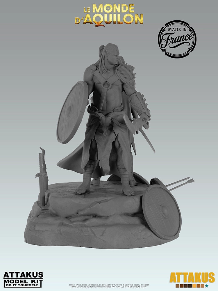Diorama des boucliers à peindre - BD Elfes, Aquilon