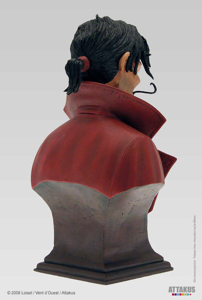 Buste résine Capitaine Crochet (polychrome)