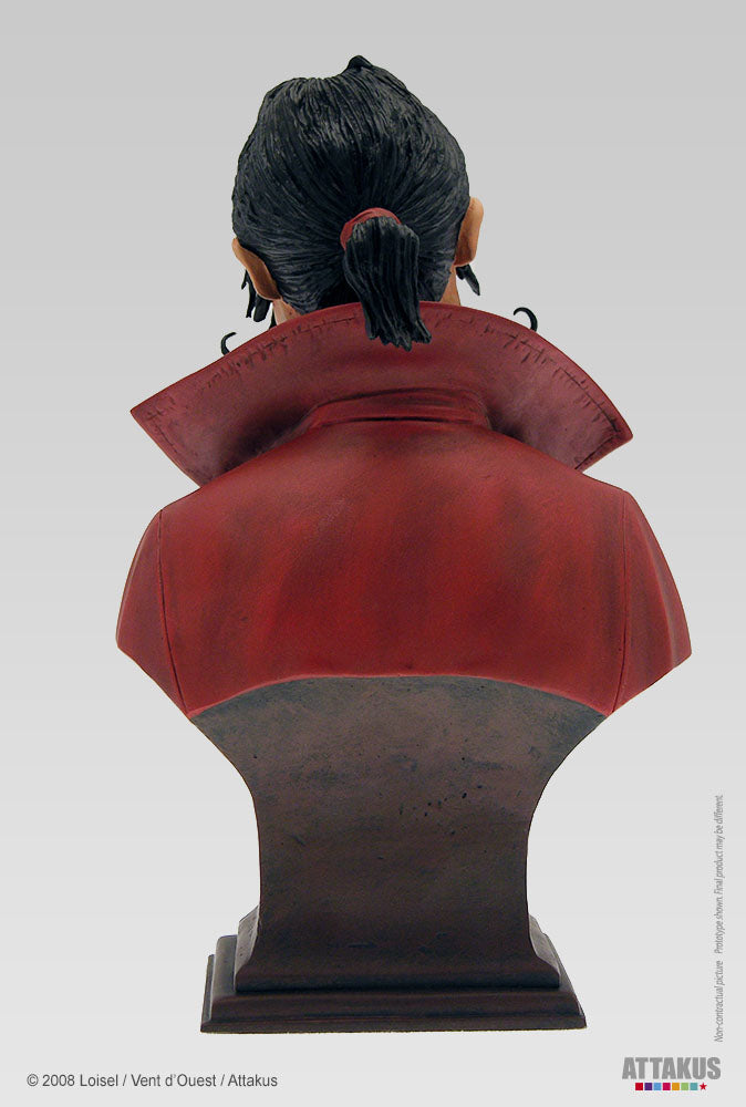 Buste résine Capitaine Crochet (polychrome)