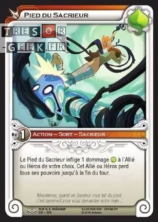 Pied du Sacrieur [Bonta & Brâkmar 231/320 WAKFU]