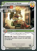 Fécaline la Sage [Incarnam 105/320 WAKFU] - Wakfu TCG - Incarnam - Français (FR) - OCCASION