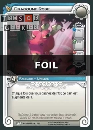 Dragoune Rose [Incarnam 316/320 WAKFU]