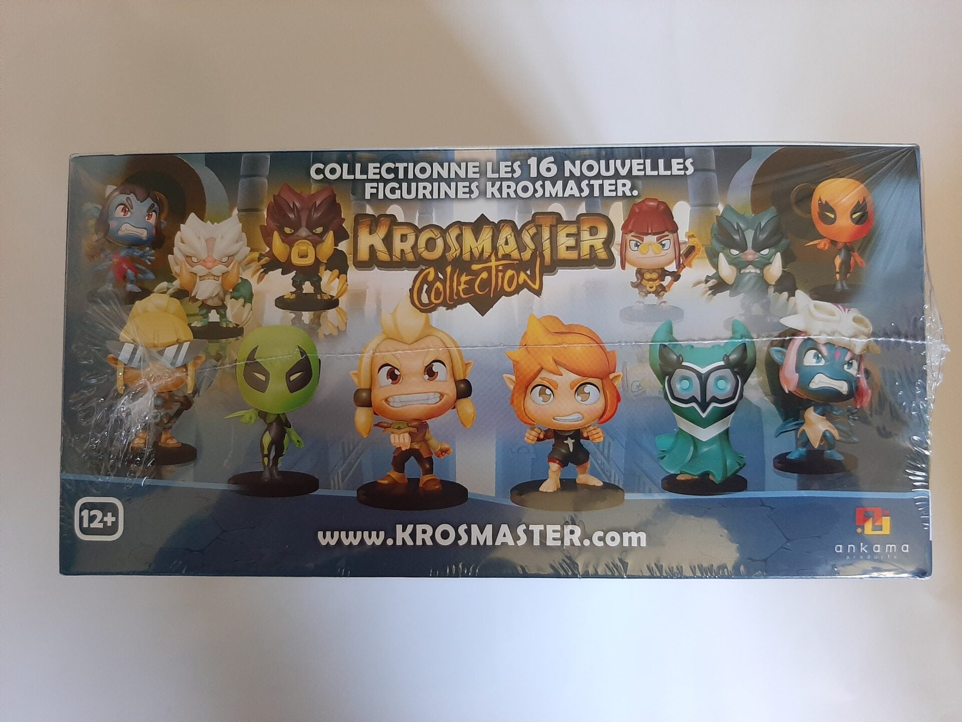 Display 12 Krosmaster S6 FR