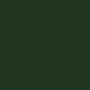 Peinture acrylique Vallejo Game Color - flacon 18 ml - Vert Sombre - Dark Green