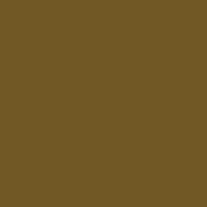 Peinture acrylique Vallejo Game Color - flacon 18 ml - Brun Sauvage - Beasty Brown
