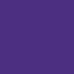 Peinture acrylique Prince August Game Color - flacon 18 ml - Wash Violet - Violet