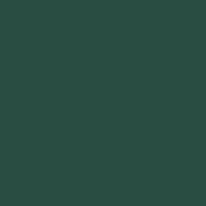 Peinture acrylique Prince August Game Air - flacon 18 ml - Vert Carapace - Scurvy Green