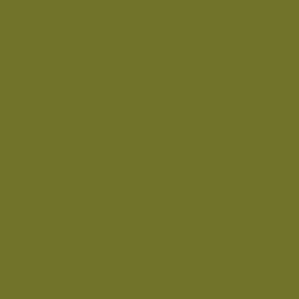 Peinture acrylique Vallejo Game Color - flacon 18 ml - Vert camouflage