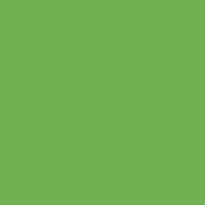 Peinture acrylique Vallejo Game Color - flacon 18 ml - Lavis Vert