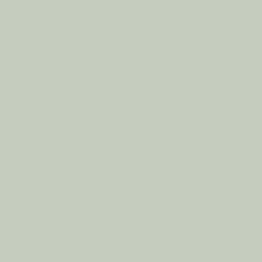 Peinture acrylique Prince August Mecha Color - flacon 18 ml - Vert clair