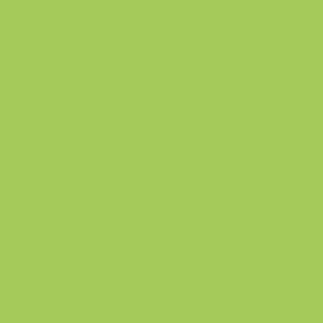 Peinture acrylique Prince August Mecha Color - flacon 18 ml - Vert fluorescent
