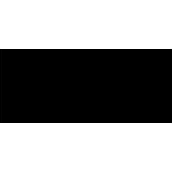 Peinture acrylique Prince August Polyuréthane - flacon 200 ml - GM - Noir