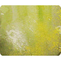 Prince August - Effet d'environnement salissure humide claire 40ml