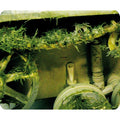 Prince August - Effet d'environnement herbe écrasée 40ml