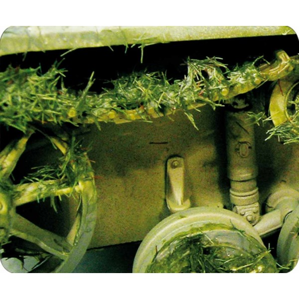 Prince August - Effet d'environnement herbe écrasée 40ml