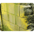 Prince August - Effet d'environnement moisissure et lichen 40ml