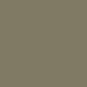 Peinture acrylique Prince August Model Air - flacon 18 ml - Chanvre - Hemp