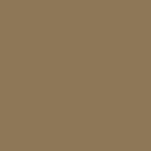 Peinture acrylique Prince August Model Air - flacon 18 ml - Marron Kaki - Khaki Brown