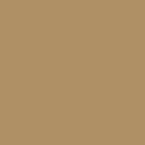 Peinture acrylique Prince August Model Air - flacon 18 ml - Marron Clair - Light Brown