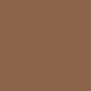 Peinture acrylique Prince August Model Air - flacon 18 ml - Marron Terre - Mud Brown