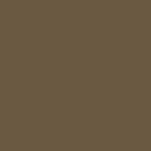 Peinture acrylique Prince August Model Air - flacon 18 ml - Brun Kaki IJA - IJA Khaki Brown