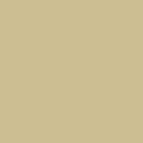 Peinture acrylique Prince August Model Air - flacon 18 ml - Pierre de Portland UK BSC 64 - UK Bsc 64 Portland Stone