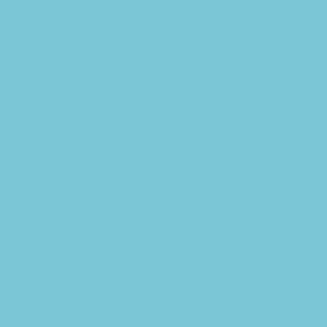 Peinture acrylique Prince August Model Air - flacon 18 ml - Bleu Clair AII SV. Gol - AII SV. Gol Light Blue