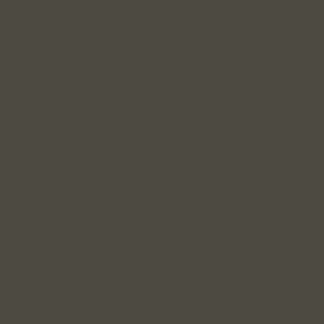 Apprêt Prince August Surface Primer - flacon 18 ml - Primer Vert Russe 4BO - Russian Green 4BO