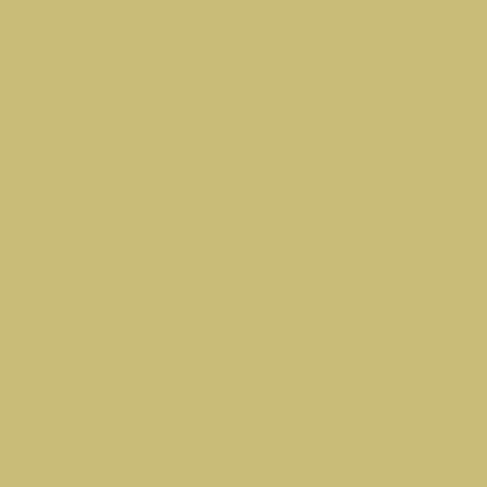 Peinture acrylique Prince August Classic - flacon 17 ml - 12 - Jaune Allemand