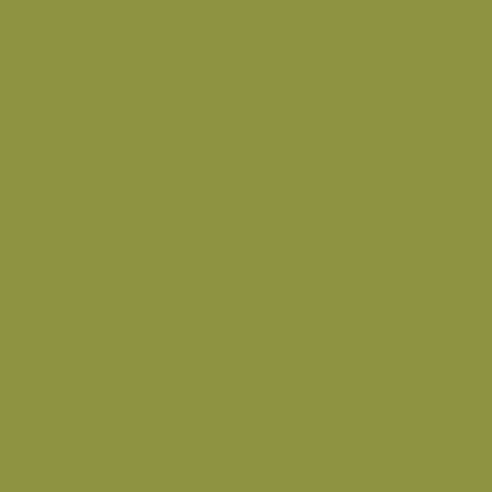 Peinture acrylique Prince August Classic - flacon 17 ml - 77 - Vert Citron