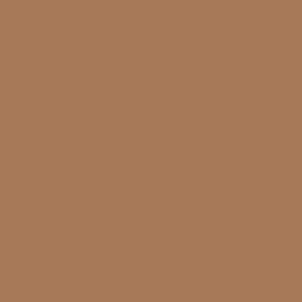 Peinture acrylique Prince August Classic - flacon 17 ml - 133 -Marron Liège