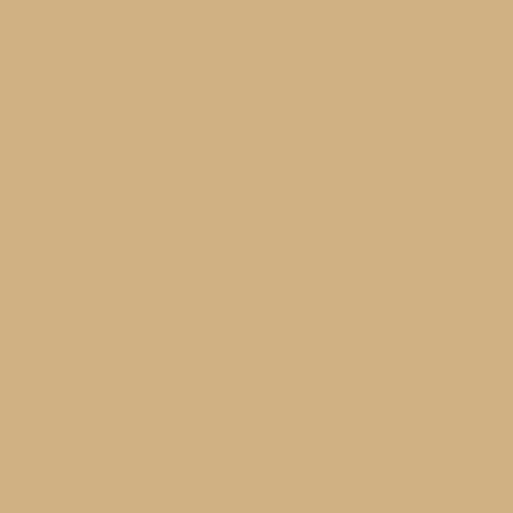 Peinture acrylique Prince August Classic - flacon 17 ml - 123 - Sable Foncé