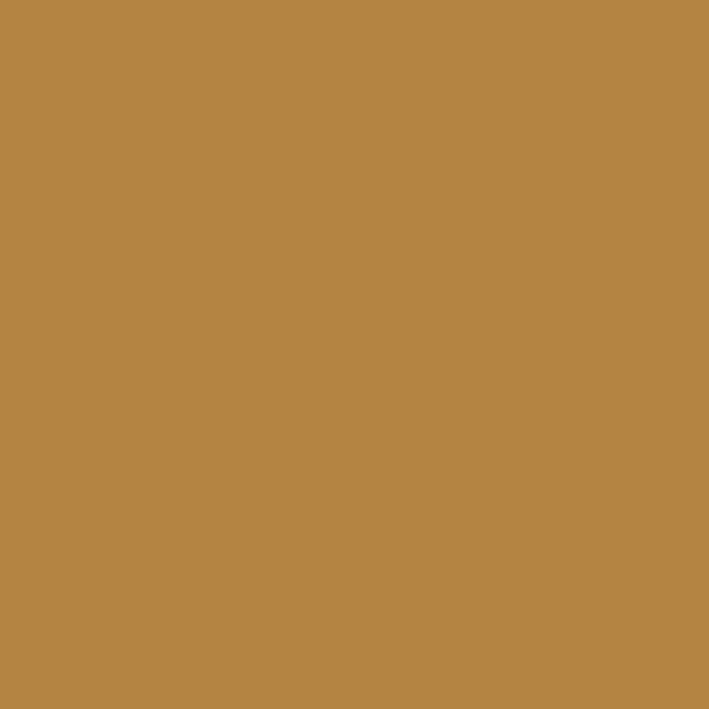 Peinture acrylique Prince August Classic - flacon 17 ml - 126 - Marron Doré - Alezan Doré