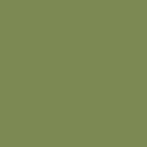 Peinture acrylique Vallejo Model Color - flacon 18 ml - Vert Clair - Bright Green - 85