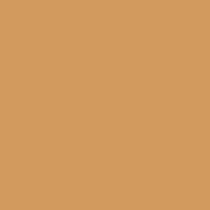 Peinture acrylique Vallejo Model Color - flacon 18 ml - Chair Bronzée - Sunny Skin Tone - 12