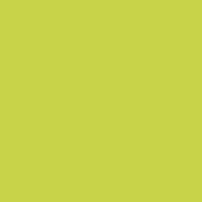 Peinture acrylique Vallejo Model Color - flacon 18 ml - Jaune Vert - Yellow Green - 90