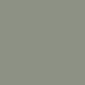 Peinture acrylique Vallejo Model Color - flacon 18 ml - Vert Gris Pâle - FS34414 - Green Grey - 167