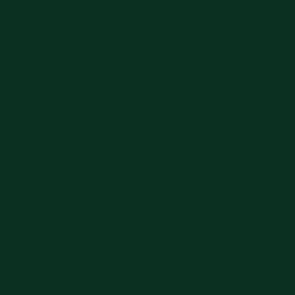 Peinture acrylique Prince August Panzer Aces - flacon 17 ml - Panzer Aces Feu de Position Vert