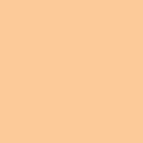 Peinture acrylique Prince August Premium - flacon 60 ml - Premium Opaque - Orange Pink - Rose Orangé