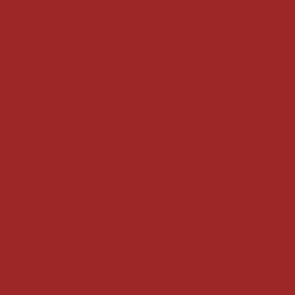 Peinture acrylique Prince August Premium - flacon 60 ml - Premium Opaque - Bright Red - Rouge Vif