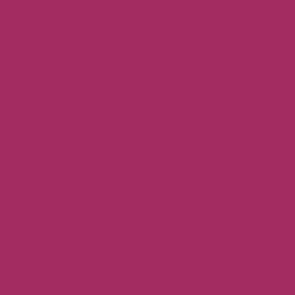 Peinture acrylique Prince August Premium - flacon 60 ml - Premium Opaque - Magenta - Magenta