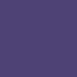 Peinture acrylique Prince August Premium - flacon 60 ml - Premium Opaque - Violet - Violet
