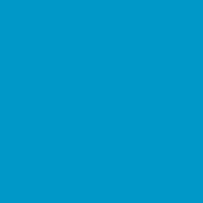Apprêt Prince August Premium - flacon 60 ml - Premium Opaque - Basic Blue - Bleu de Base