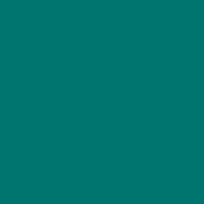 Peinture acrylique Prince August Premium - flacon 60 ml - Premium Opaque - Blue Green - Bleu Vert