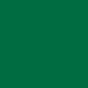Apprêt Prince August Premium - flacon 60 ml - Premium Opaque - Basic Green - Vert de Base
