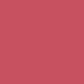 Peinture acrylique Prince August Premium - flacon 60 ml - Premium Métallique - Metallic Red - Rouge Métallique