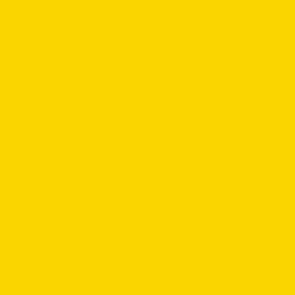 Peinture acrylique Prince August Premium - flacon 60 ml - Premium Candy - Candy Yellow - Jaune Candy